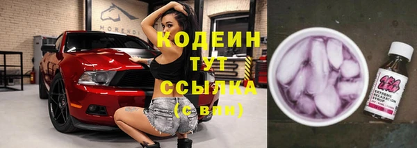 крисы Туринск