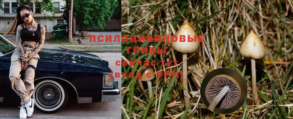 крисы Туринск