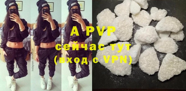 крисы Туринск