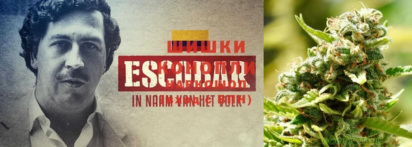 крисы Туринск