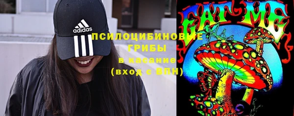 винт Тында
