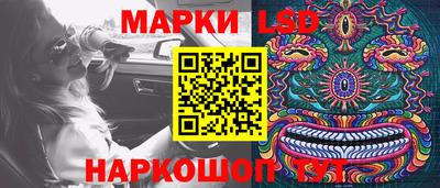 шишки Заводоуковск