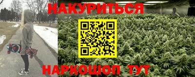 шишки Заводоуковск
