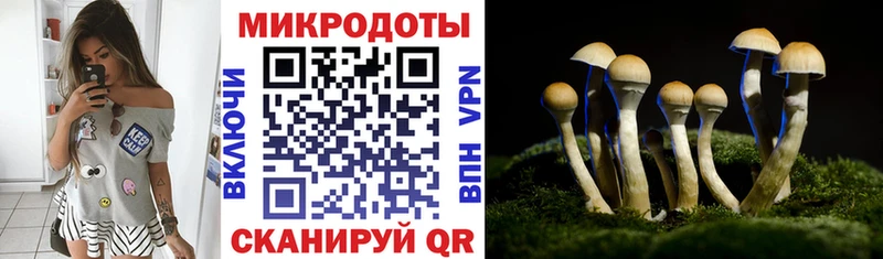 Псилоцибиновые грибы прущие грибы  закладки  Сыктывкар 