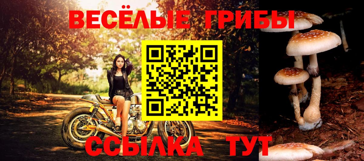 Галлюциногенные грибы Cubensis  Псилоцибиновые грибы мухоморы  Вход с VPN  Сыктывкар 