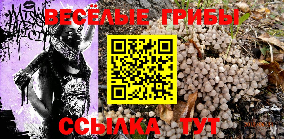 Галлюциногенные грибы ЛСД Сыктывкар