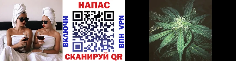 где купить наркотик  Сыктывкар  Шишки марихуана семена 